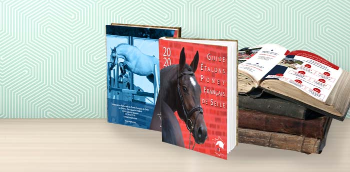 Formations PAO Infographie  à Nantes 44 